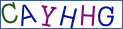 Type the letters shown in the picture