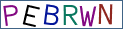Type the letters shown in the picture