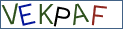 Type the letters shown in the picture