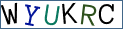 Type the letters shown in the picture