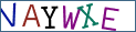 Type the letters shown in the picture