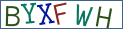 Type the letters shown in the picture