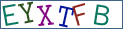 Type the letters shown in the picture