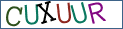 Type the letters shown in the picture