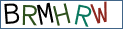 Type the letters shown in the picture
