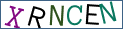 Type the letters shown in the picture