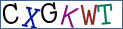 Type the letters shown in the picture