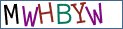 Type the letters shown in the picture
