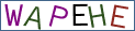 Type the letters shown in the picture