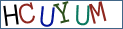 Type the letters shown in the picture