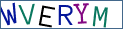 Type the letters shown in the picture