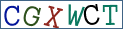 Type the letters shown in the picture