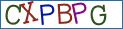 Type the letters shown in the picture
