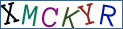 Type the letters shown in the picture