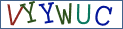 Type the letters shown in the picture