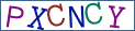 Type the letters shown in the picture