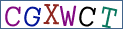 Type the letters shown in the picture