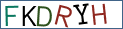 Type the letters shown in the picture