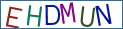 Type the letters shown in the picture