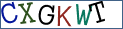 Type the letters shown in the picture