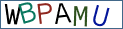 Type the letters shown in the picture