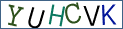 Type the letters shown in the picture