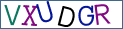 Type the letters shown in the picture