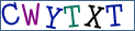 Type the letters shown in the picture