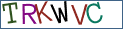 Type the letters shown in the picture