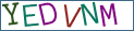 Type the letters shown in the picture