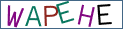 Type the letters shown in the picture