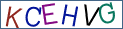Type the letters shown in the picture