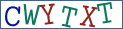 Type the letters shown in the picture