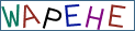 Type the letters shown in the picture
