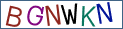 Type the letters shown in the picture