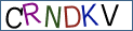 Type the letters shown in the picture