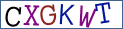 Type the letters shown in the picture
