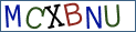 Type the letters shown in the picture