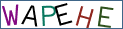 Type the letters shown in the picture