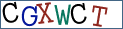 Type the letters shown in the picture