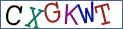 Type the letters shown in the picture