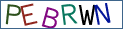 Type the letters shown in the picture