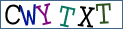 Type the letters shown in the picture