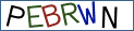 Type the letters shown in the picture